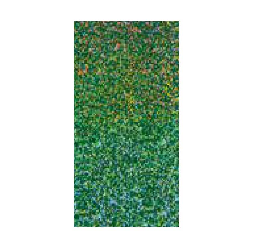 Verzierwachsplatten "2.6-979-66 holografisch - Glimmer" hellgrün Verzierwachsplatten "2.6-979-66 holografisch - Glimmer" hellgrün