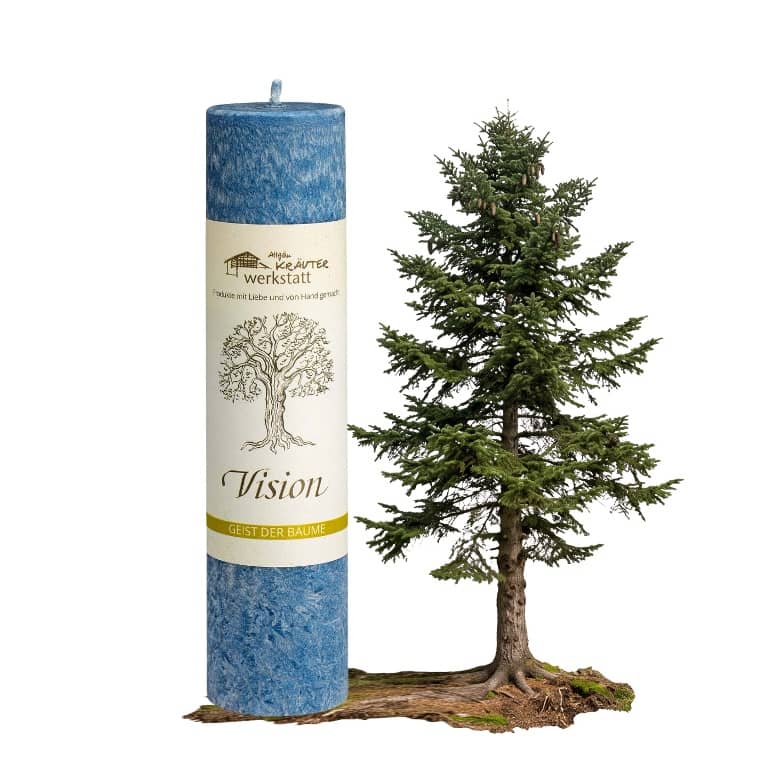 Allgäuer Heilkräuterkerze Geist der Bäume Vision in der Farbe blau. Als Geschenk für Sie oder Ihn. 100% Vegane Kerze. Hergestellt aus Olivenöl. Jetzt in unserem Kerzen Onlineshop kaufen.
