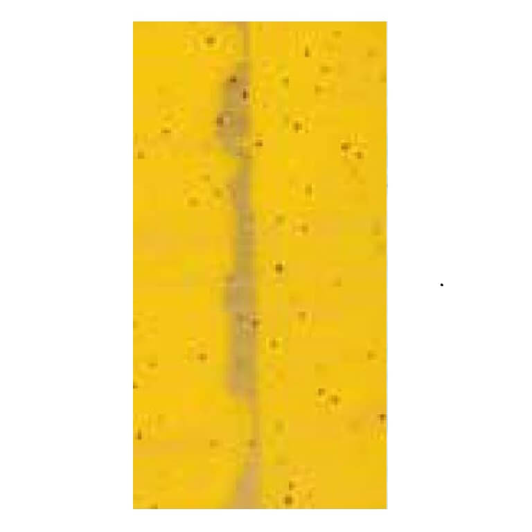 Wachsmotive, Verzierwachsplatten "multicolor marmoriert" gelb/gold 904-15 Basteln mit Wachsmotive, Verzierwachs und Verzierwachsplatten "multicolor marmoriert" gelb/gold 904-15