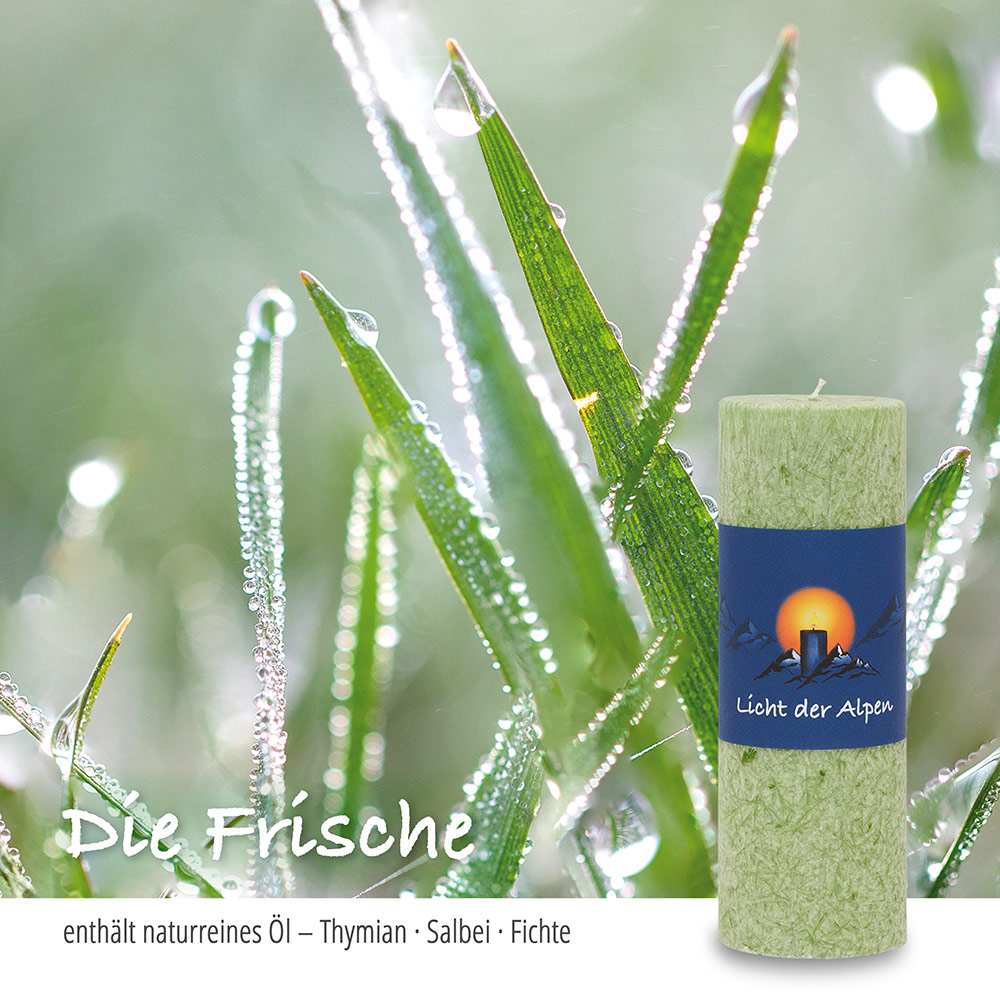 Allgäuer Heilkräuter Duftkerze. Licht der Alpen Die Frische in der Farbe grün - jetzt in unserem Kerzen Onlineshop kaufen. Allgäuer Heilkräuter Duftkerze. Licht der Alpen Die Frische in der Farbe grün - jetzt in unserem Kerzen Onlineshop kaufen.