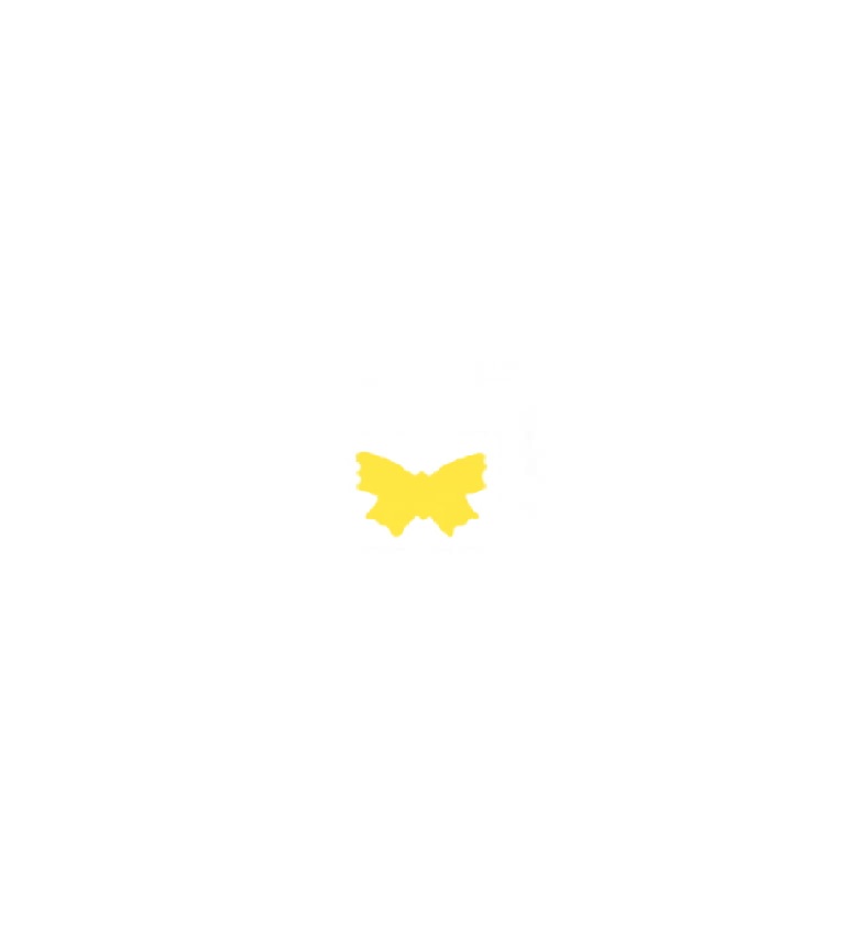 Verzierornament Schmetterling klein ca. 13 x 8 mm Farbe: raps Verzierornament Schmetterling klein ca. 13 x 8 mm Farbe: raps