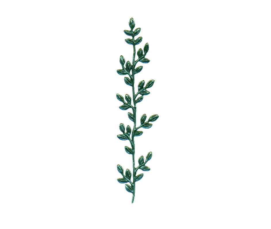 Verzierwachs: Blätterranke Myrthe dunkelgrün ca. 120 x 26 mm (1 Stück)