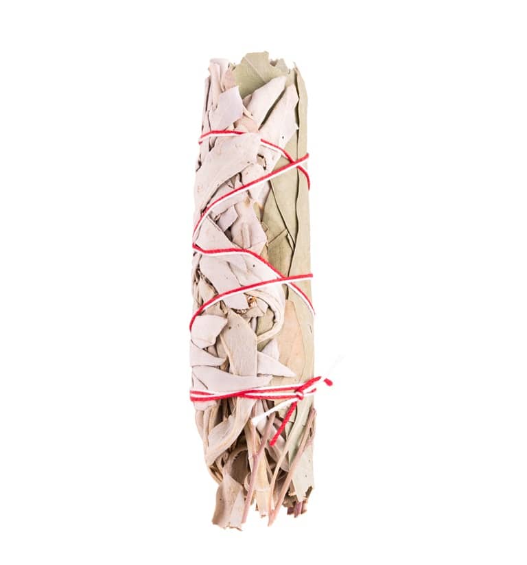 Weißer Salbei & Eukalyptus - Mini Kräuterbündel ca. 25 g Räuchern mit der Natur Weißer Salbei & Eukalyptus - Mini Kräuterbündel ca. 25 g Räuchern mit der Natur