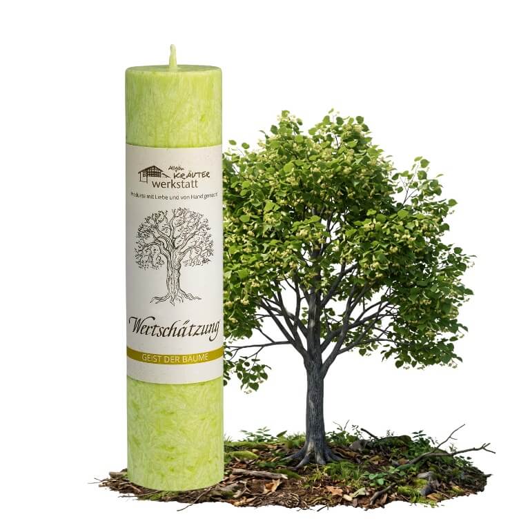 Allgäuer Heilkräuterkerzen Wertschätzung in lindgrün.  Hochwertige Kerzen mit langer Brenndauer in unserem Online Shop kaufen.