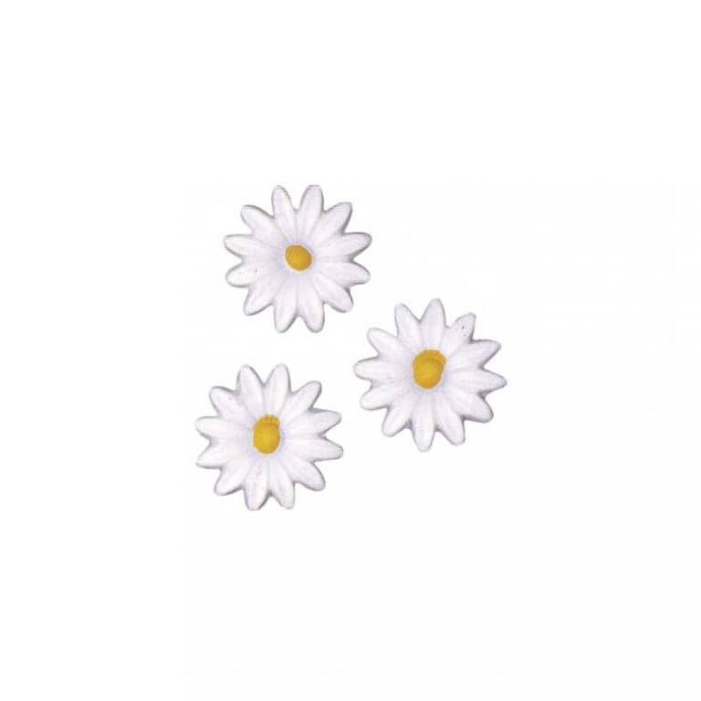 Verzierornament Verzierwachs Margeriten, 2,5 cm SB-Btl. 6 Stück Verzierornament Verzierwachs online bestellen Margeriten, 2,5 cm SB-Btl. 6 Stück