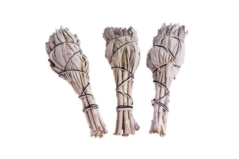 Salbei für Räucherwerk zum Räuchern Salbei für Räucherwerk zum Räuchern. Als Geschenk für Sie oder Ihn. Jetzt in unserem Kerzen Onlineshop kaufen.